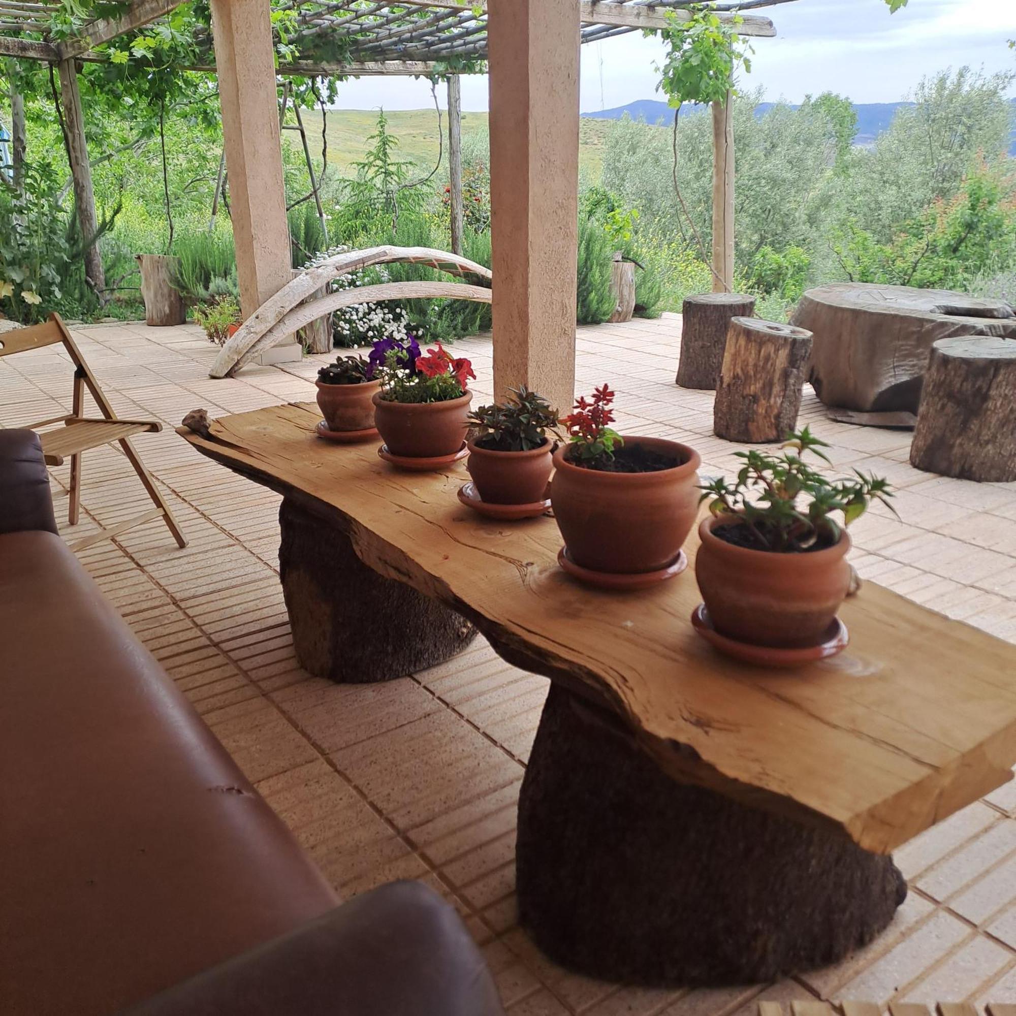 Le Chene D'Azrou Hotel ภายนอก รูปภาพ