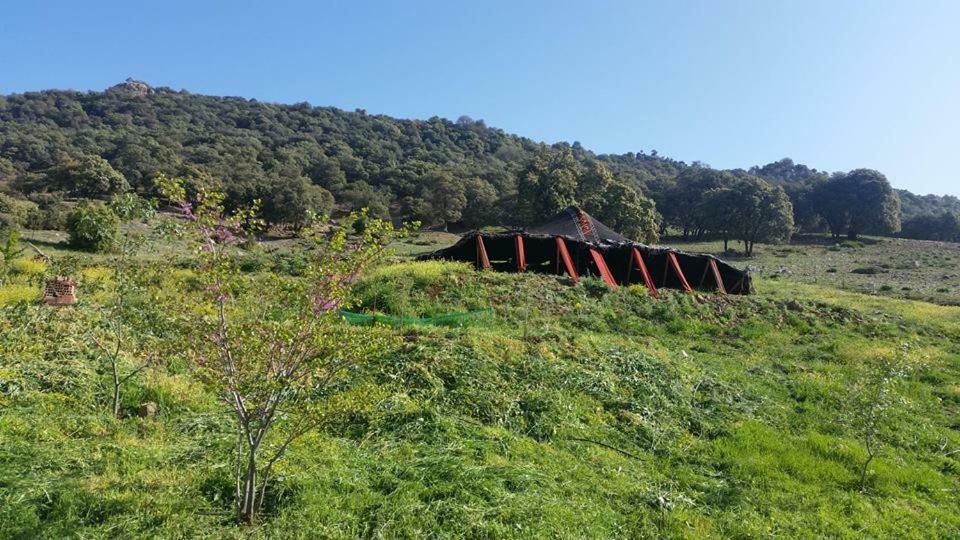 Le Chene D'Azrou Hotel ภายนอก รูปภาพ